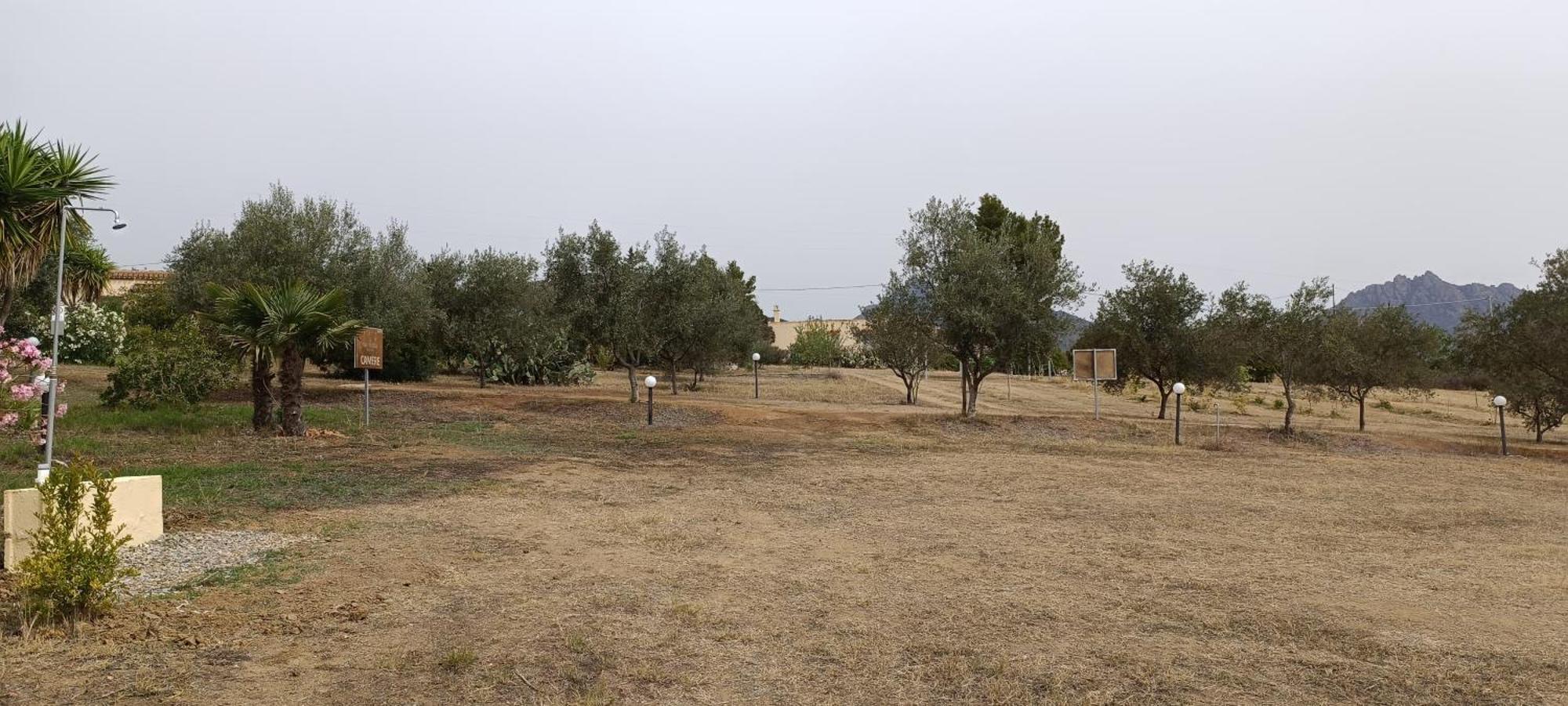 Sa Teria Village - Appartamenti - Tertenìa Exterior foto