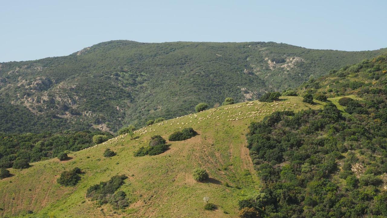 Sa Teria Village - Appartamenti - Tertenìa Exterior foto